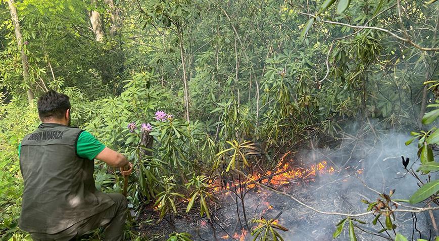 Bahçe temizliği için yakılan ateş ormana sıçradı! 5 dönüm alan küle döndü