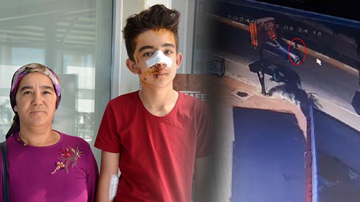 Köpeklerden kaçarken otomobil çarptı: O anlar kamerada