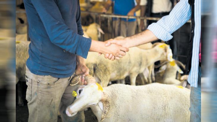 Vekaletle kesim için yurt içi hisse 11.750 TL