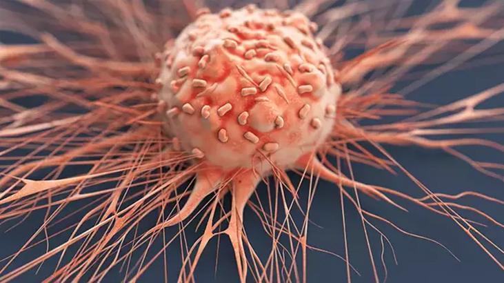 Penis kanseri yayılıyor! 10 yılda 6 bin 500 ampütasyon