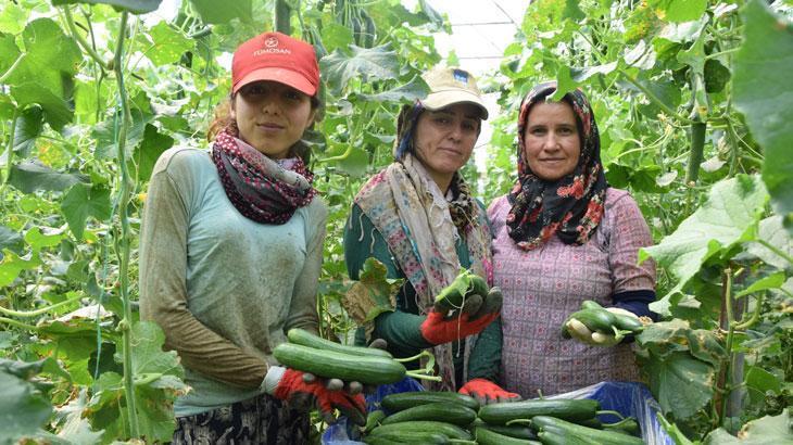 Kadın çiftçiler üretmeye devam ediyor