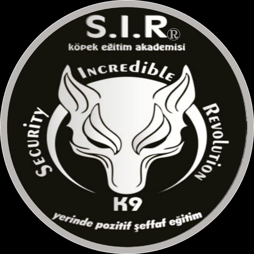 S.I.R Köpek Eğitimi: K9 Eğitiminde Uzman Adres