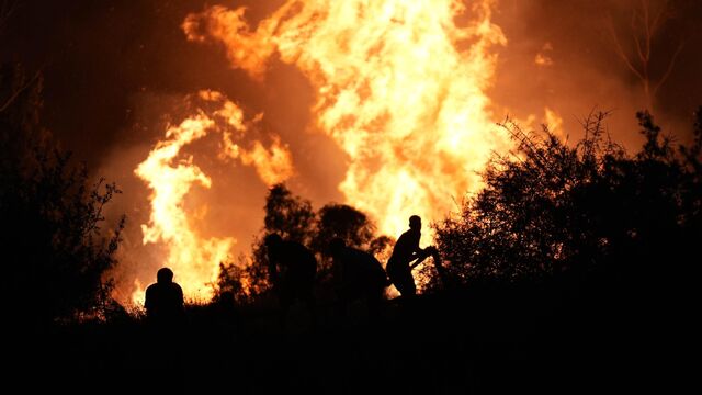 AFAD: Yangınlardan Dolayı Vatandaşlar Güvenli Alanlara Tahliye Ediliyor