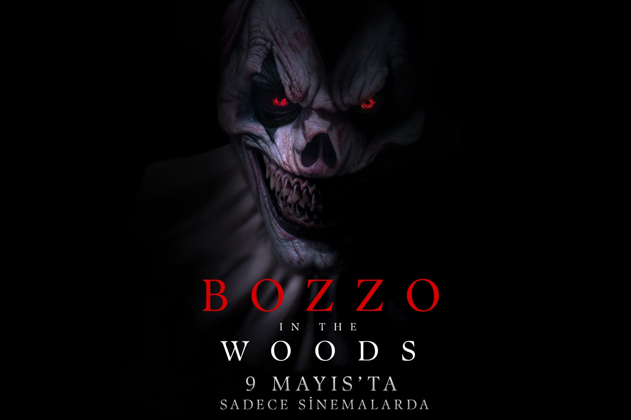 Bozzo in the Woods: Karanlık Gücün Sırları