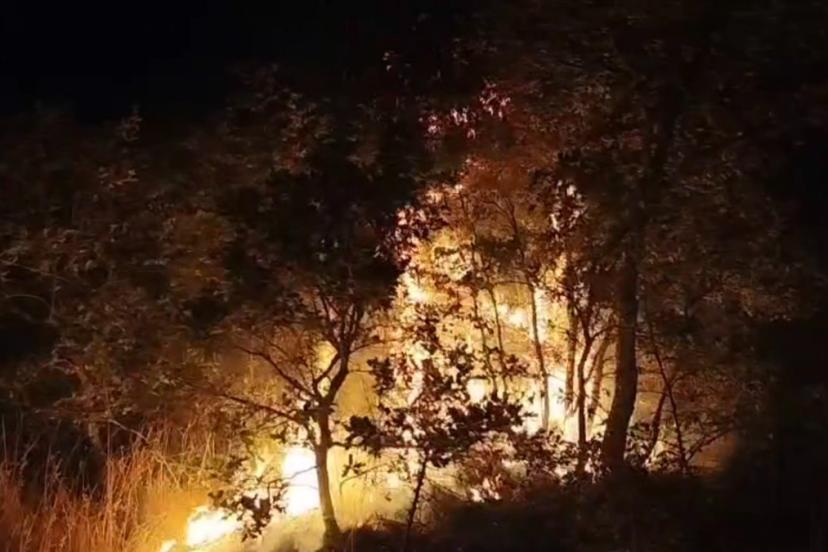 Balıkesir’de çöplükte başlayan yangın araziye sıçradı