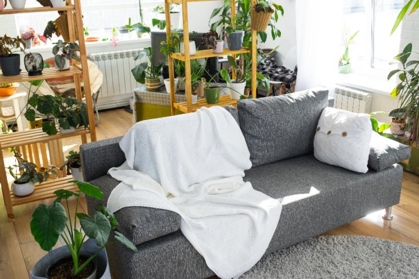 Bu bitkileri evinizde bulundurmayın: Zehirliyor