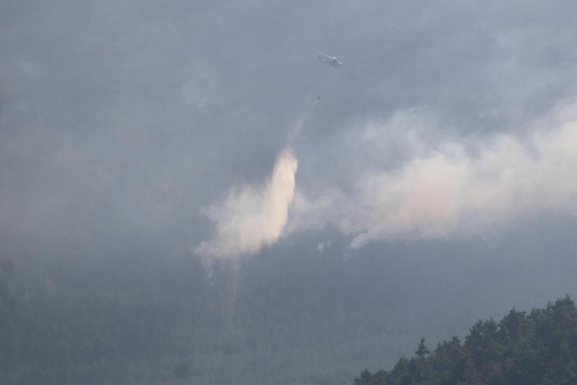 Denizli Pamukkale’deki orman yangını kontrol altına alındı