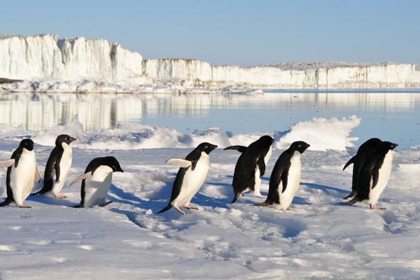 Dünyanın en eski buzu İngiltere’de: 1,5 milyon yıllık sır aydınlatılıyor