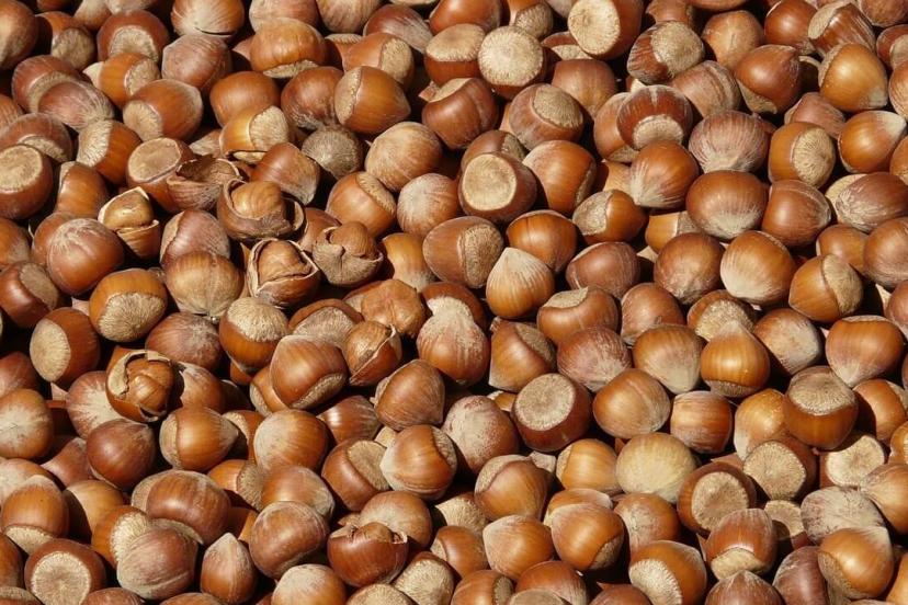 Fındık ihracatından 7 ayda 1,3 milyar dolar gelir sağlandı