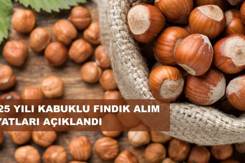 Fındık Taban Fiyatı Açıklandı; Fiyat 195 Lira…
