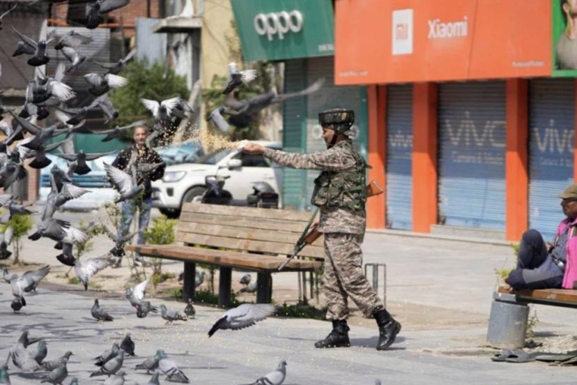 Hindistan’da güvercin beslemek yasaklandı: Sağlık krizi kapıda