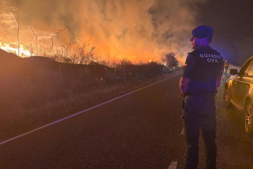 İspanya 14 farklı noktada orman yangını: 7 ölü