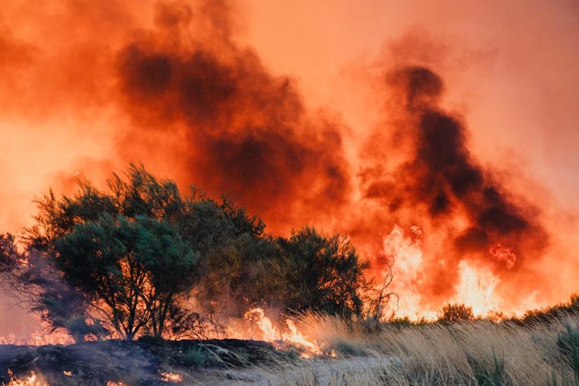 İspanya’da 344 bin hektardan fazla alan yandı