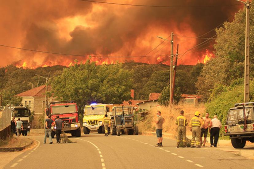 İspanya’da 50’den fazla noktada orman yangınları