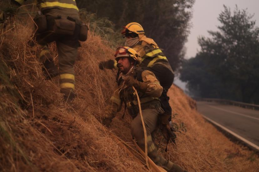 İspanya’da büyük çaplı orman yangını sayısı 20’ye çıktı