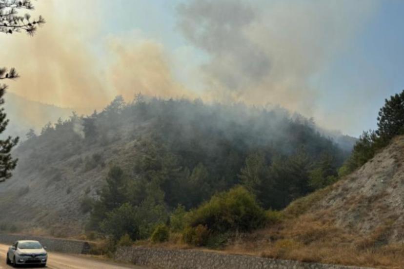Karabük’te orman yangını