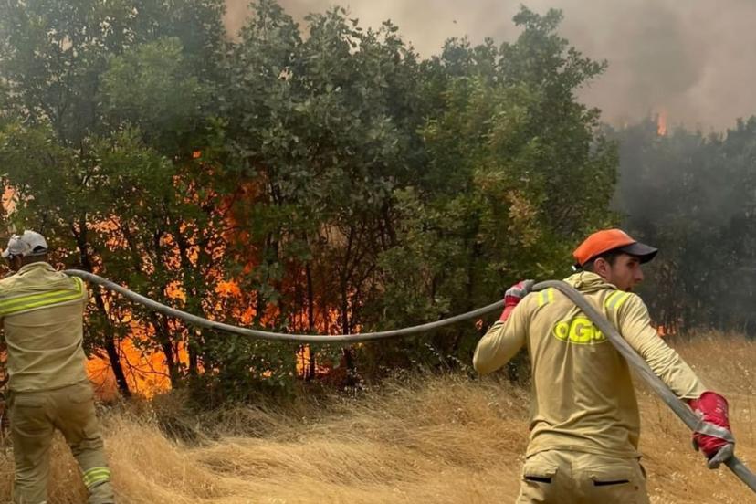 Türkiye’de bir ayda 12 bin 752 futbol sahası büyüklüğünde orman yandı