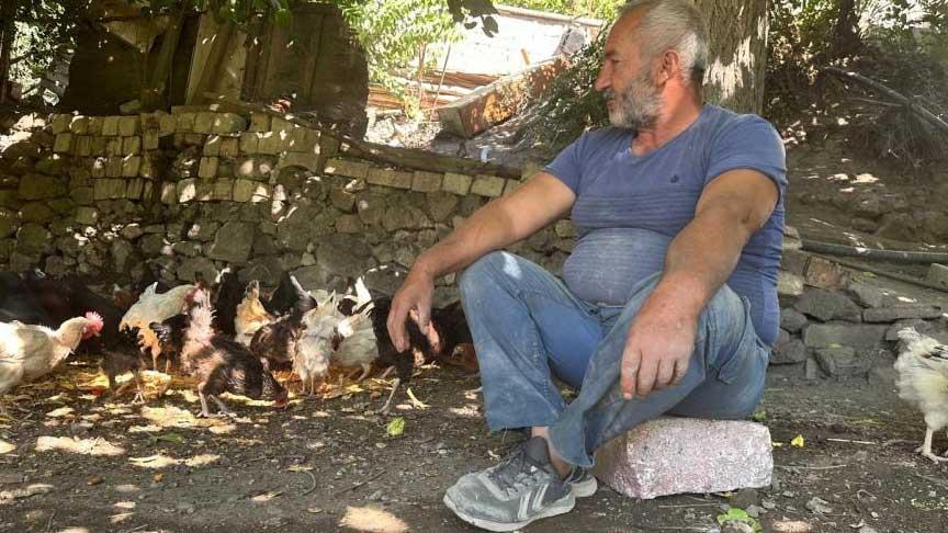 Tilki Saldırıları 150’den Fazla Kümes Hayvanı Telef Oldu