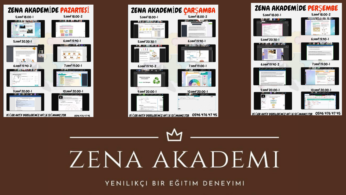 Zena Akademi: Dijital Çağın Gönüllü Eğitim Merkezi