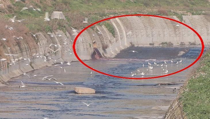 Haramidere Yine Kırmızı Aktı: Mahalle Sakinleri Koku ve Kirliliğe Tepkili