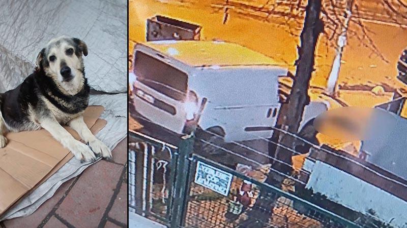 Kozyatağı’nda Kargo Aracı 15 Yaşındaki Pakize’yi Ezdi: Mahalleli Şokta