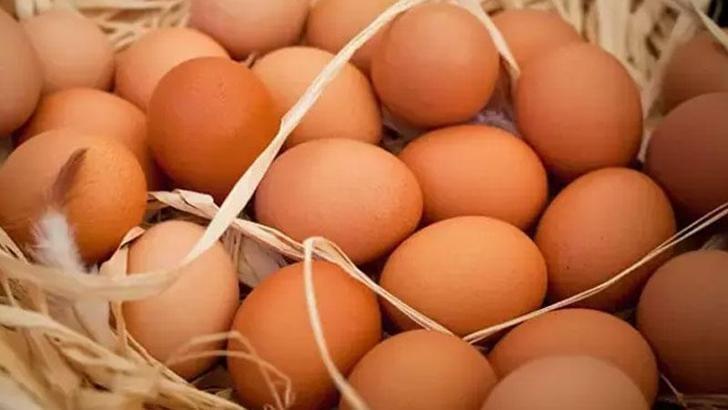 TAVUK ETİ VE YUMURTA ÜRETİMİNDE AYLIK GERİLEME: SÜT VERİLERİ AÇIKLANDI