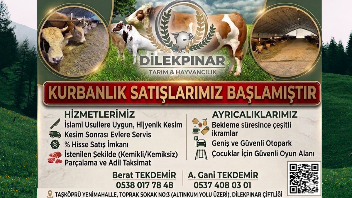 Dilekpınar Tarım ve Hayvancılık Kurban Sezonunda Marmara’da Yoğun İlgi Görüyor