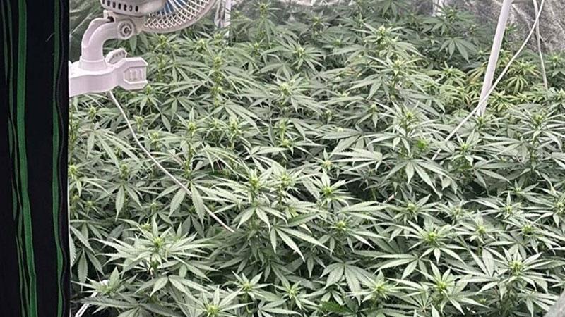 Kuşadası’nda Uyuşturucu Operasyonu: 3 Gözaltı