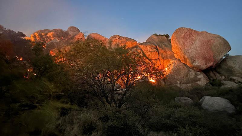Arizona’da Orman Yangını Hızla Yayılıyor: Binlerce Dönüm Alan Küle Döndü