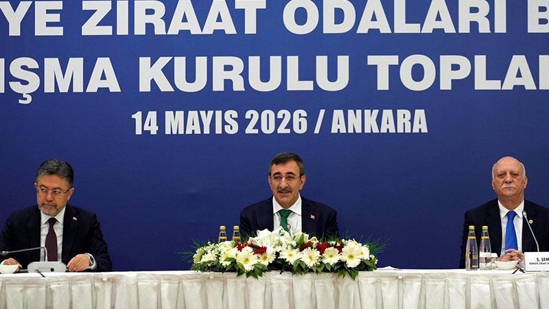 Çiftçinin Gözü Kulağı Bu Zirvedeydi: Rekor Rekolte Beklentisi ve Buğday Fiyatı Talebi!