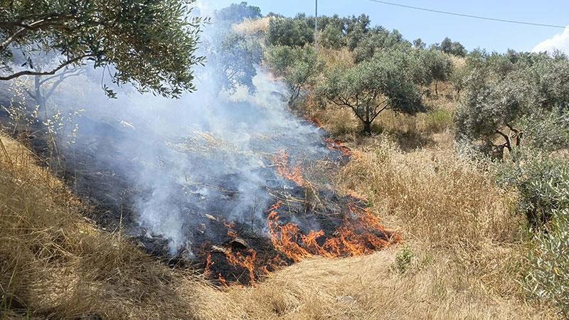 Orman Ekipleri Seferber Oldu: Yangın Tarım Arazilerine Ulaşmadan Söndürüldü