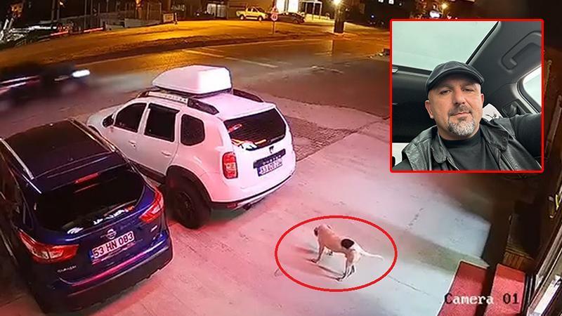 ARDEŞEN’DE ATV KAZASI: BAŞIBOŞ KÖPEKTEN KAÇARKEN HAYATINI KAYBETTİ