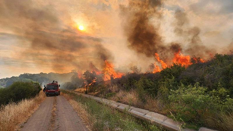 Kuvvetli Rüzgâr Nedeniyle Çanakkale’de Hasada Zaman Sınırlaması Getirildi