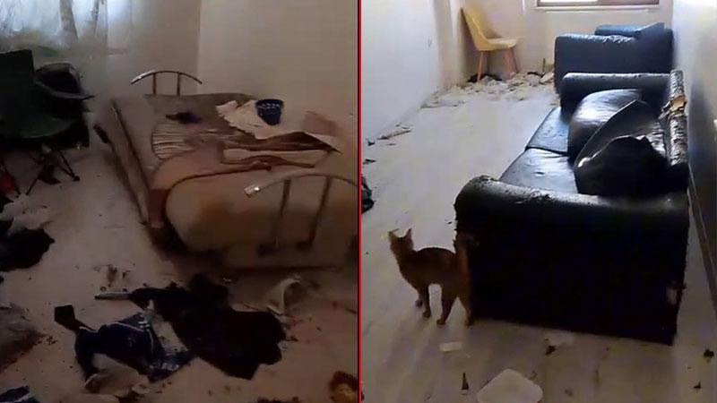 Bahçelievler’de Korkunç Koku İhbarı! Evden 6 Kedi ve Çöp Yığını Çıktı
