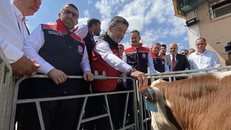 Hayvancılıkta dijital dönem başladı: GEKİS ile milyonlarca hayvan elektronik kimlikle takip edilecek