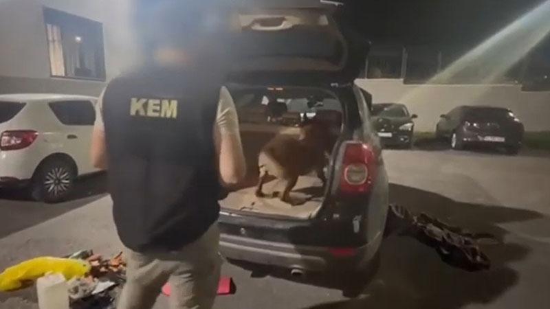 Kocaeli’de uyuşturucu satıcılarına operasyon: Ele geçirilenler arasında metamfetamin ve skunk da var
