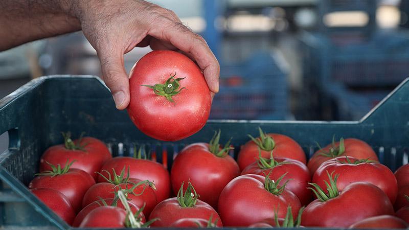 Antalya’da pazar ve market arasında fiyat farkı dikkat çekiyor