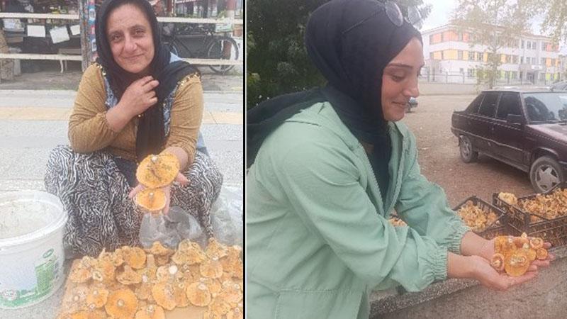 ‘Kalınca mantarı’ için zorlu mesai: Saatlerce yürüyüp sırtlarında taşıyorlar