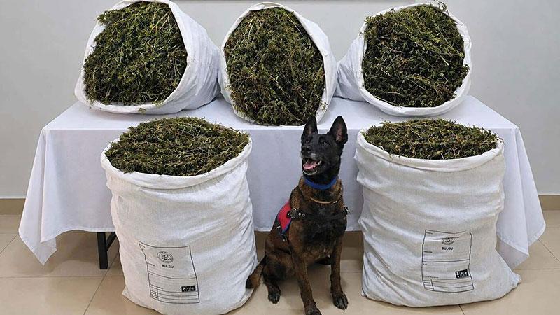 İzmir’de 54 kilo 800 gram kubar esrar ele geçirildi: 3 şüpheli tutuklandı